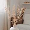 Kép 1/3 - Szárazvirág - ilex - óarany