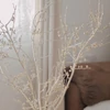 Kép 1/3 - Szárazvirág - ilex - pezsgő