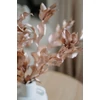 Kép 2/5 - Szárazvirág - nagylevelű ruscus - rosegold