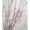 Kép 3/6 - limonium suworowii szárazvirág