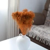 Kép 1/3 - Szárazvirág - broom bloom - narancs