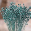 Kép 1/4 - Szárazvirág - len - emerald green