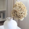 Kép 1/5 - Szárazvirág - hortenzia - preparált - ivory - 40 cm