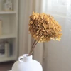 Kép 1/3 - Szárazvirág - hortenzia - preparált - mustársárga - 40 cm