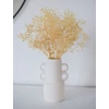 Kép 2/6 - Szárazvirág - preparált gypsophilia
