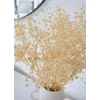 Kép 5/6 - Szárazvirág - preparált gypsophilia