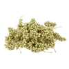 Kép 1/3 - szárazvirág