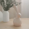 Kép 1/5 - húsvéti nyuszi dekoráció