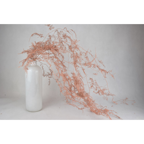 Szárazvirág - aszparágusz - dusty pink - 5 szál - 1 m
