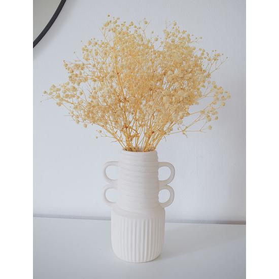 Szárazvirág - preparált gypsophilia