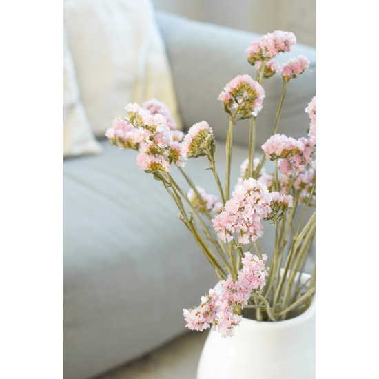 Szárazvirág - egynyári sóvirág - rózsaszín