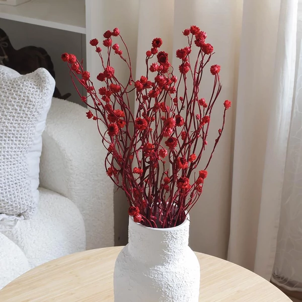 Szárazvirág - ammóbium - piros