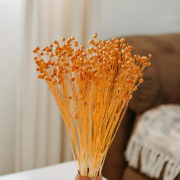 Szárazvirág - len - terrakotta