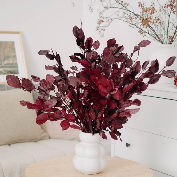 tartósított őszi ág