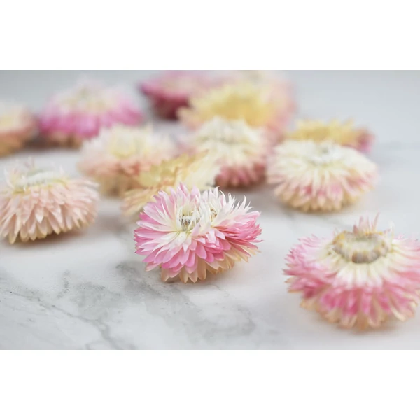 Termések és virágfejek