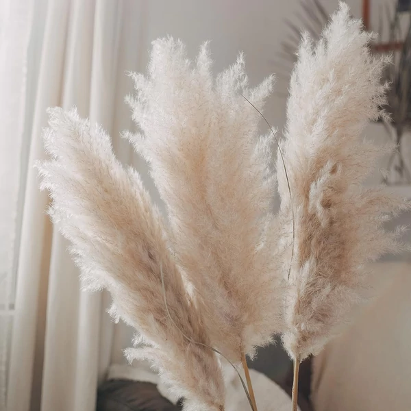 Extra hosszú növények