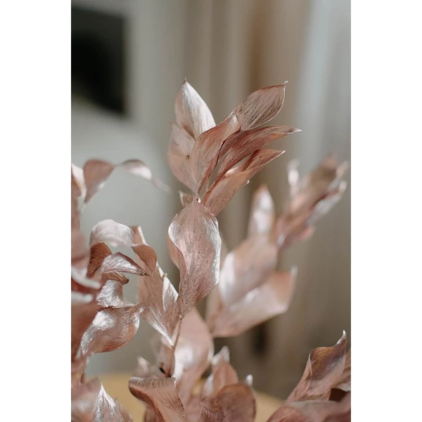 Szárazvirág - nagylevelű ruscus - rosegold