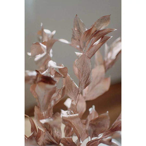 Szárazvirág - nagylevelű ruscus - rosegold
