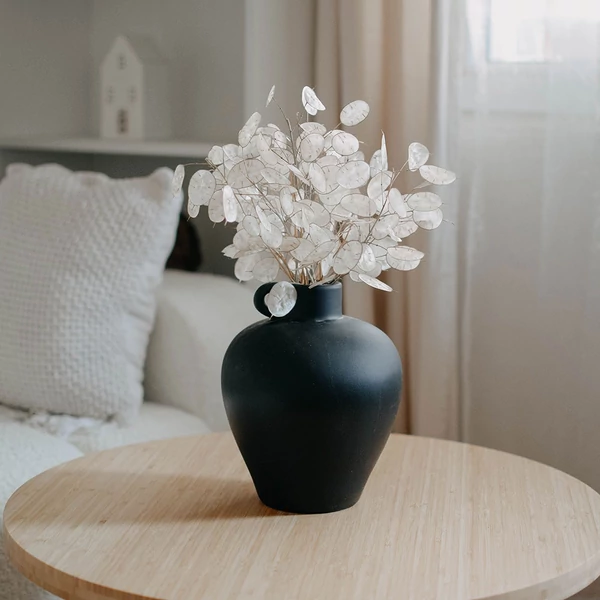 Szárazvirág - lunaria - mini