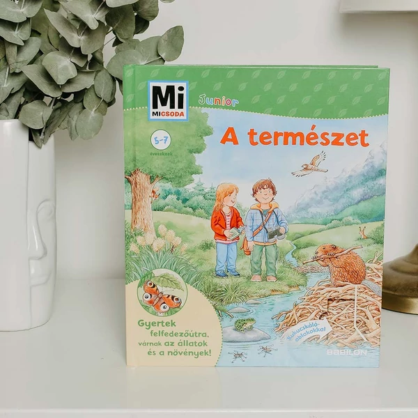 mi micsoda, könyv