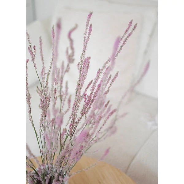 limonium suworowii szárazvirág