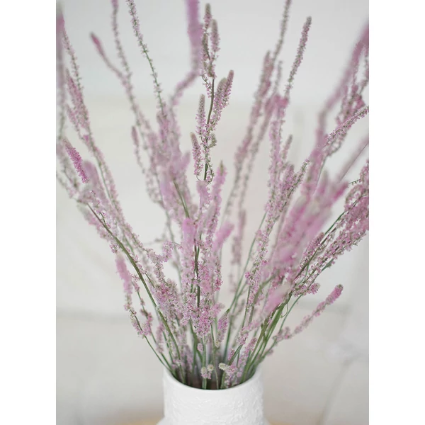 limonium suworowii szárazvirág