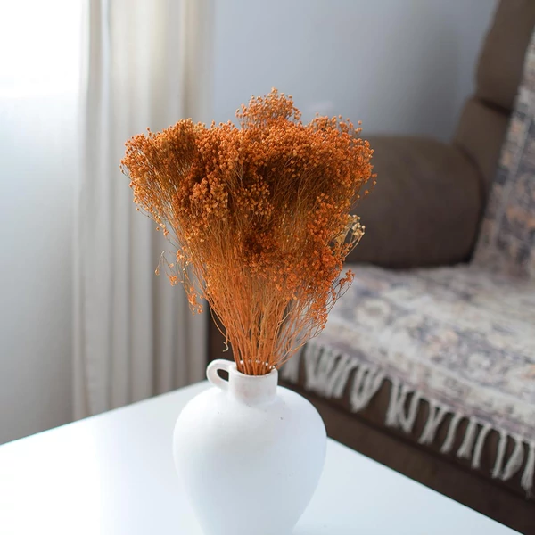 Szárazvirág - broom bloom - narancs
