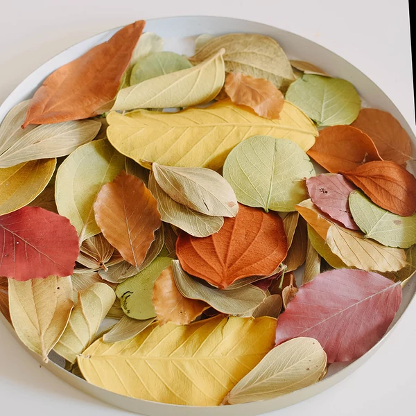 levél mix