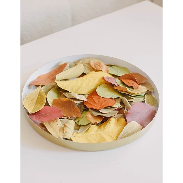 levél mix