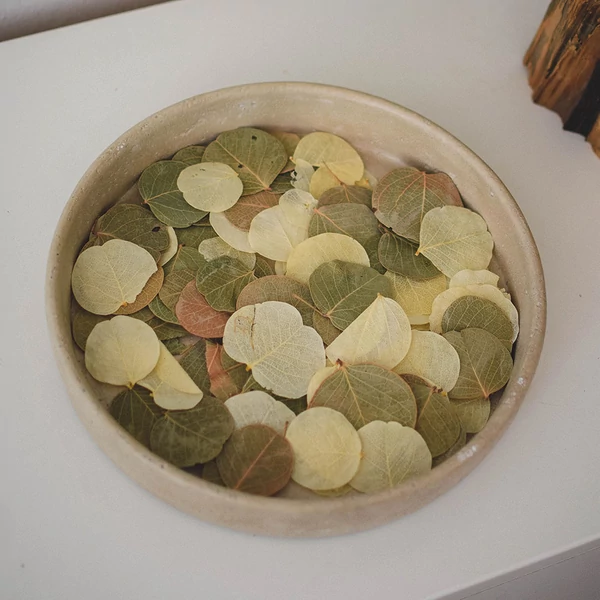 levél mix