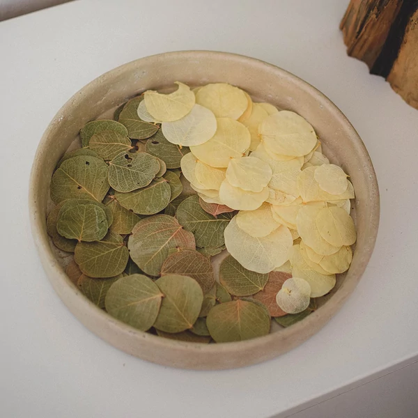 szárított moneta levél mix