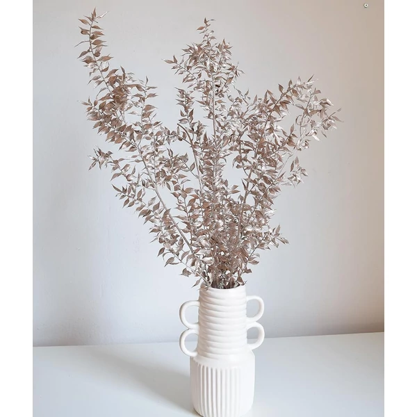 ruscus
