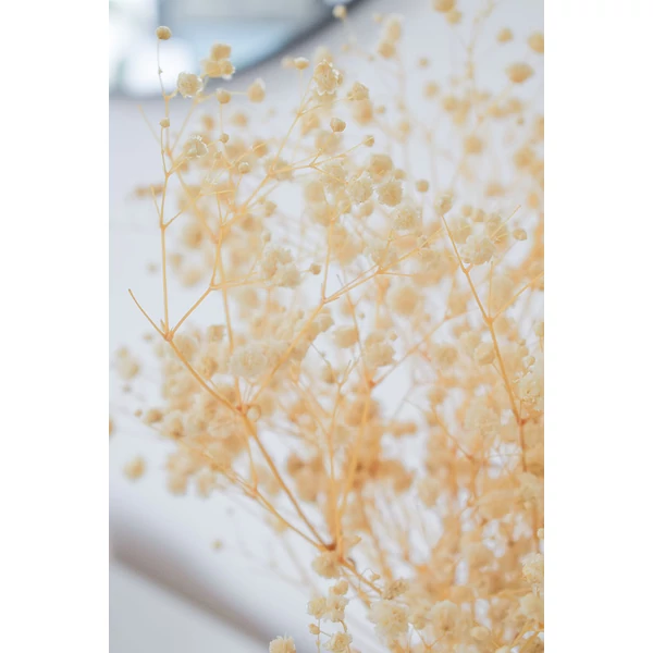 Szárazvirág - preparált gypsophilia