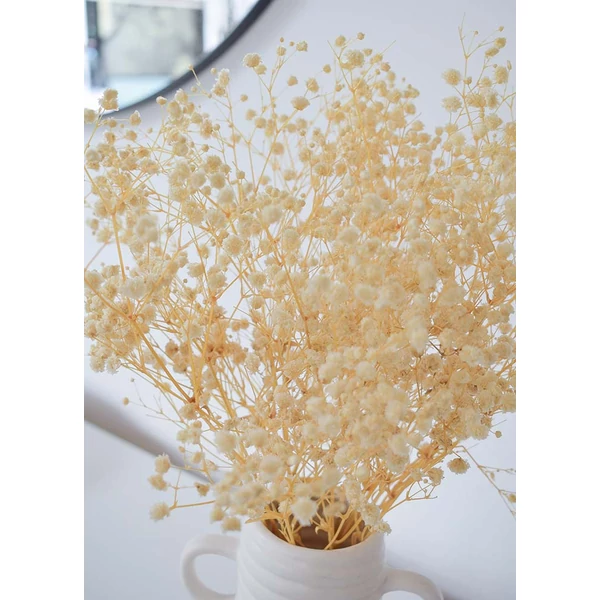 Szárazvirág - preparált gypsophilia