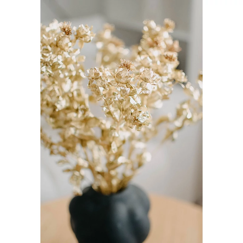 Szárazvirág - szeklice - arany