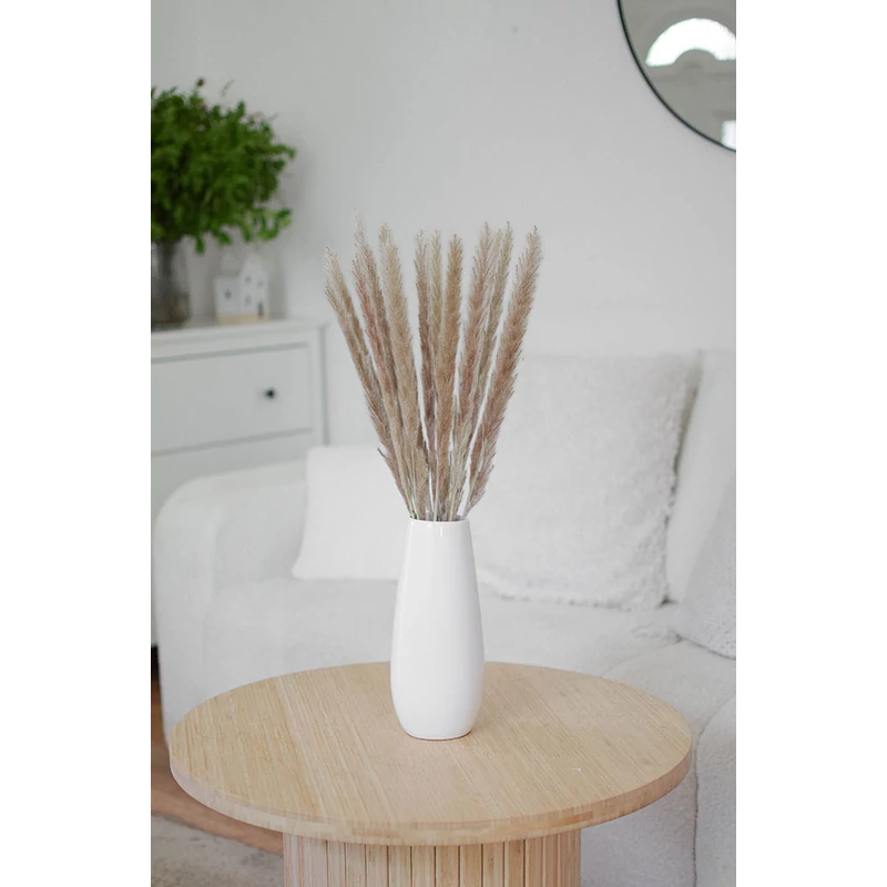 mini pampafű szárazvirág