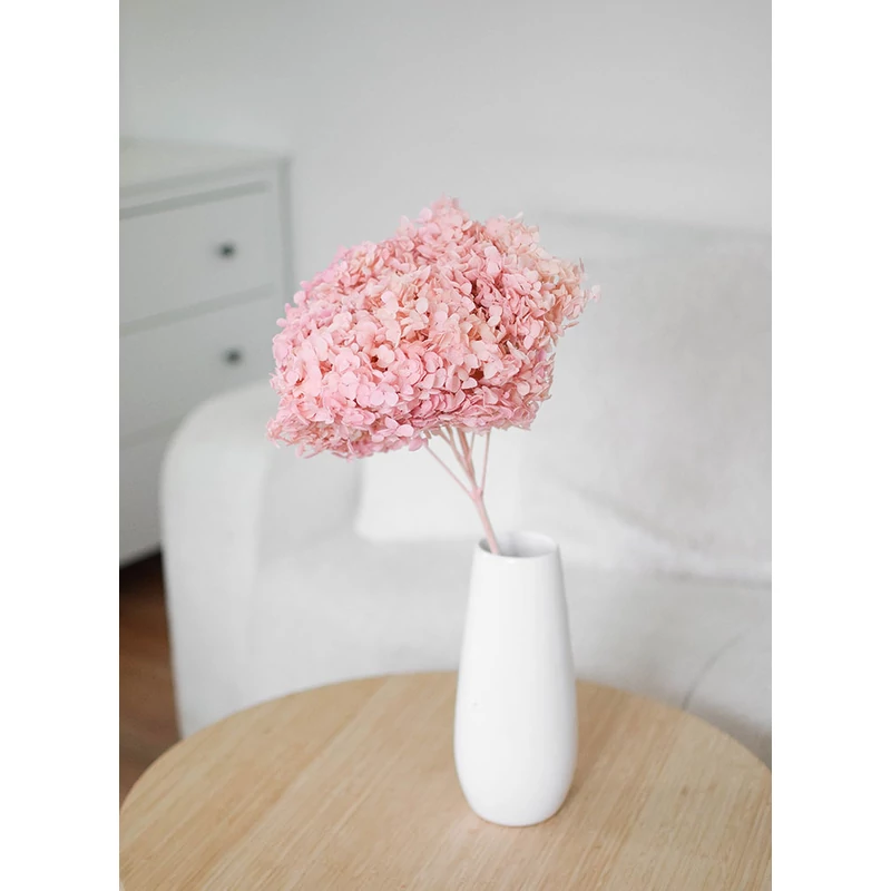 tartósított hortenzia