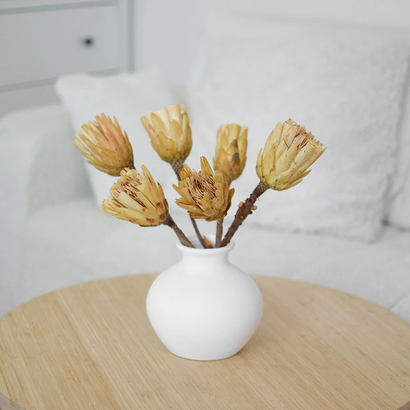 protea szárazvirág vázában