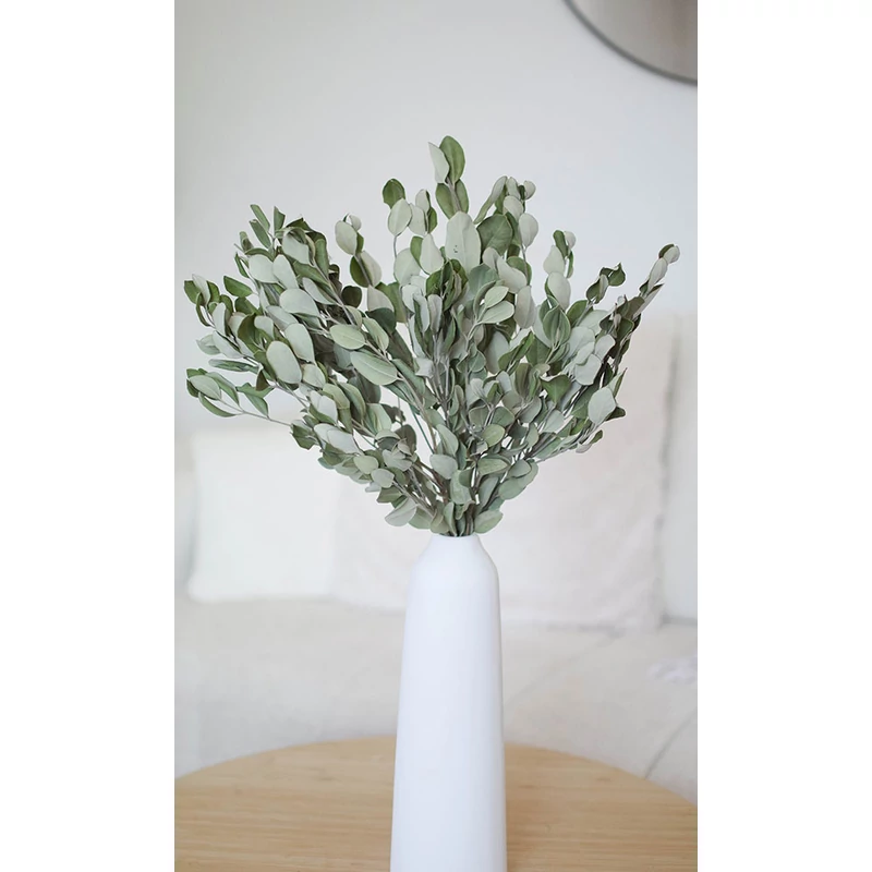 szárított eukaliptusz szárazvirág