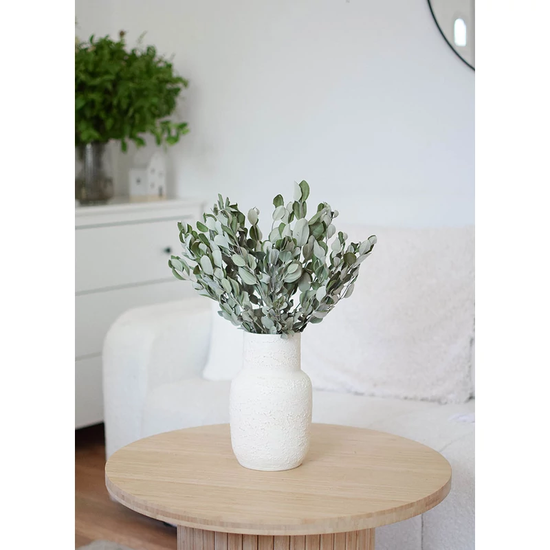 szárított eukaliptusz szárazvirág