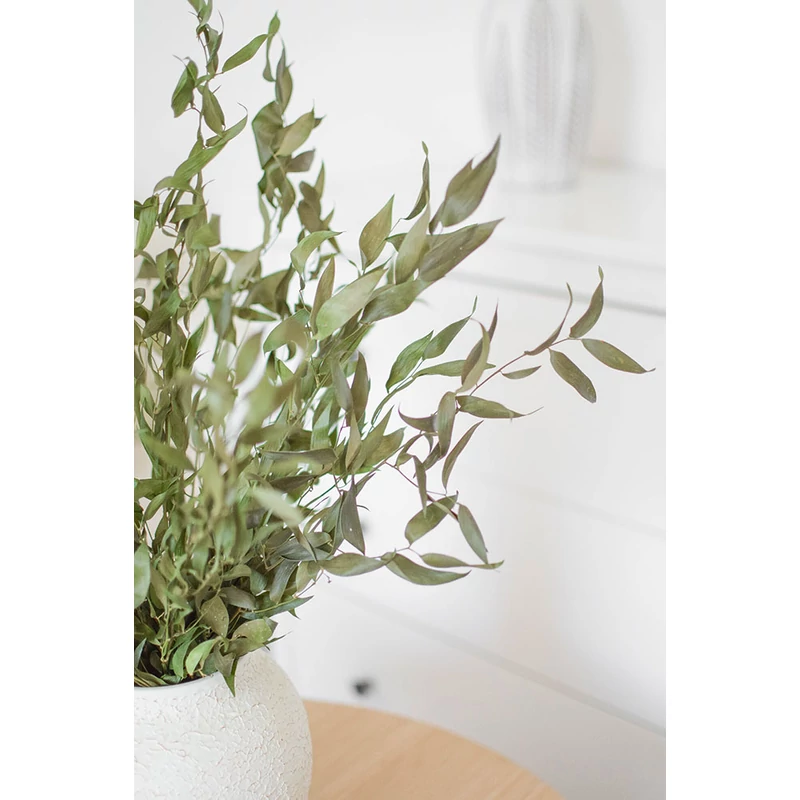 szárított ruscus szárazvirág