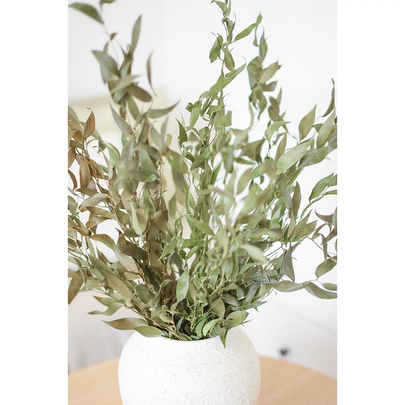 szárított ruscus szárazvirág