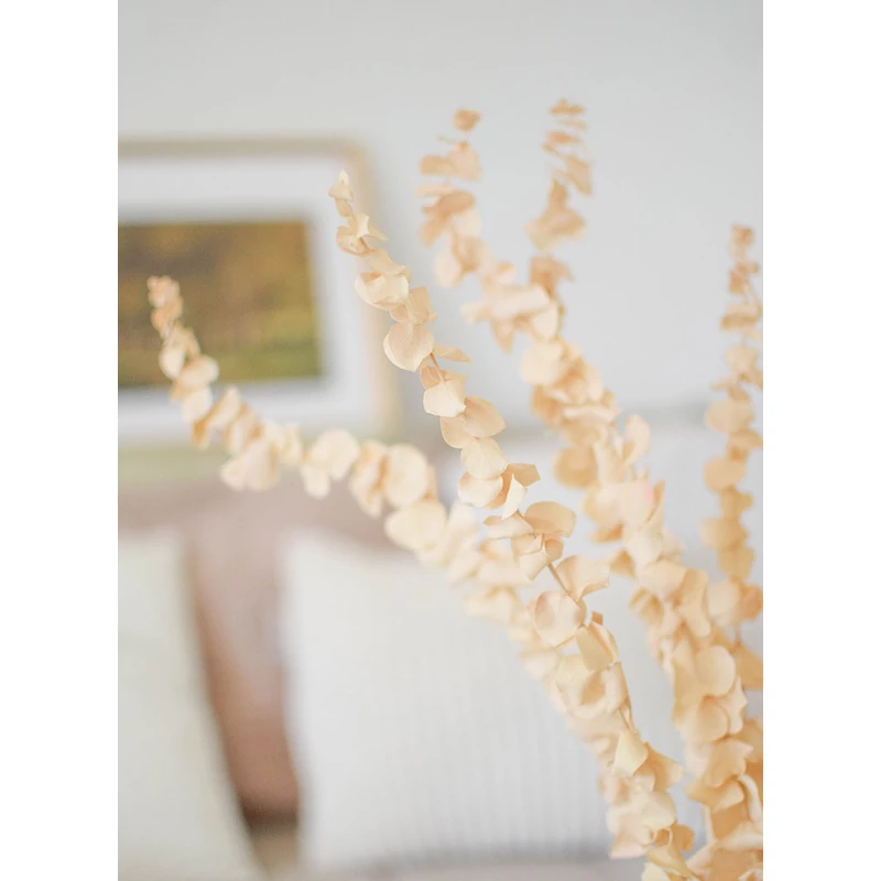 tartósított eukaliptusz szárazvirág