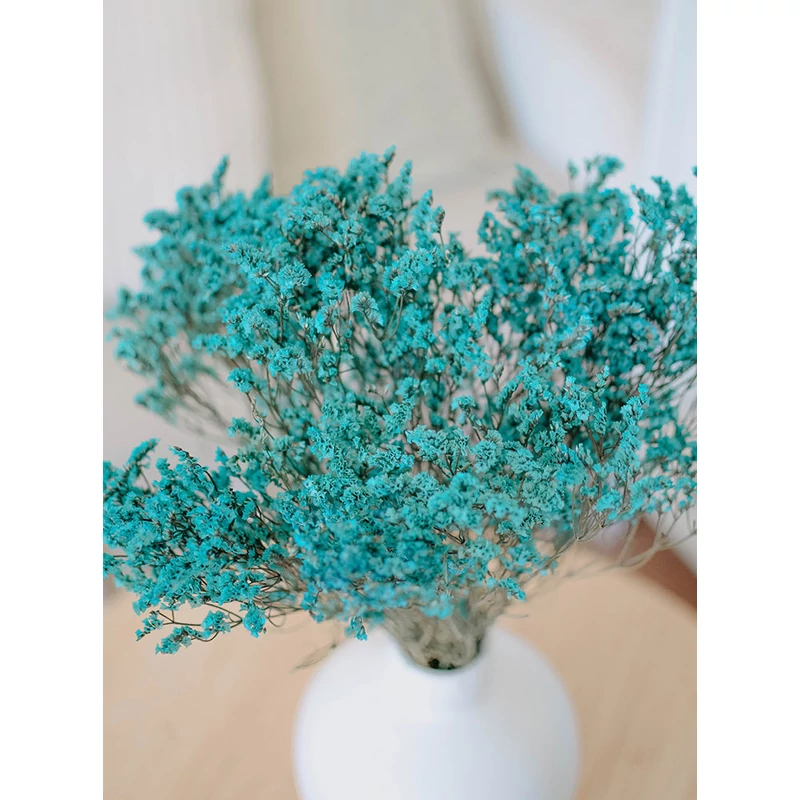 tartósított sóvirág szárazvirág