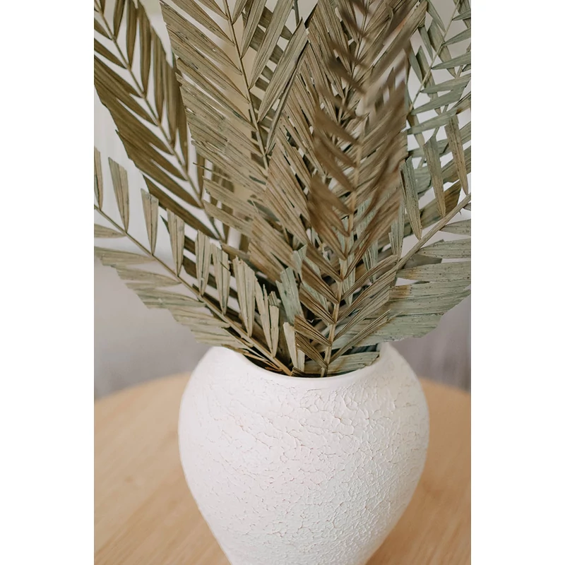 szárított pálmalevelek szárazvirág