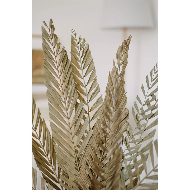 szárított pálmalevelek szárazvirág