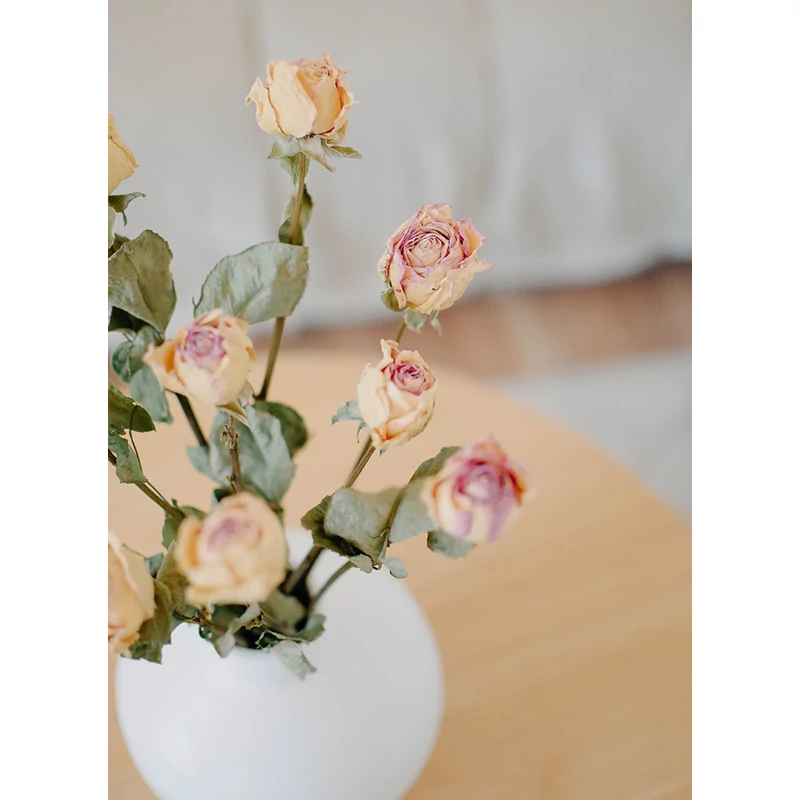 szárított rózsa szárazvirág