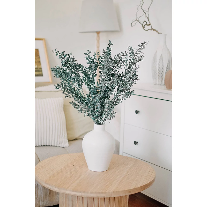 tartósított ruscus szárazvirág