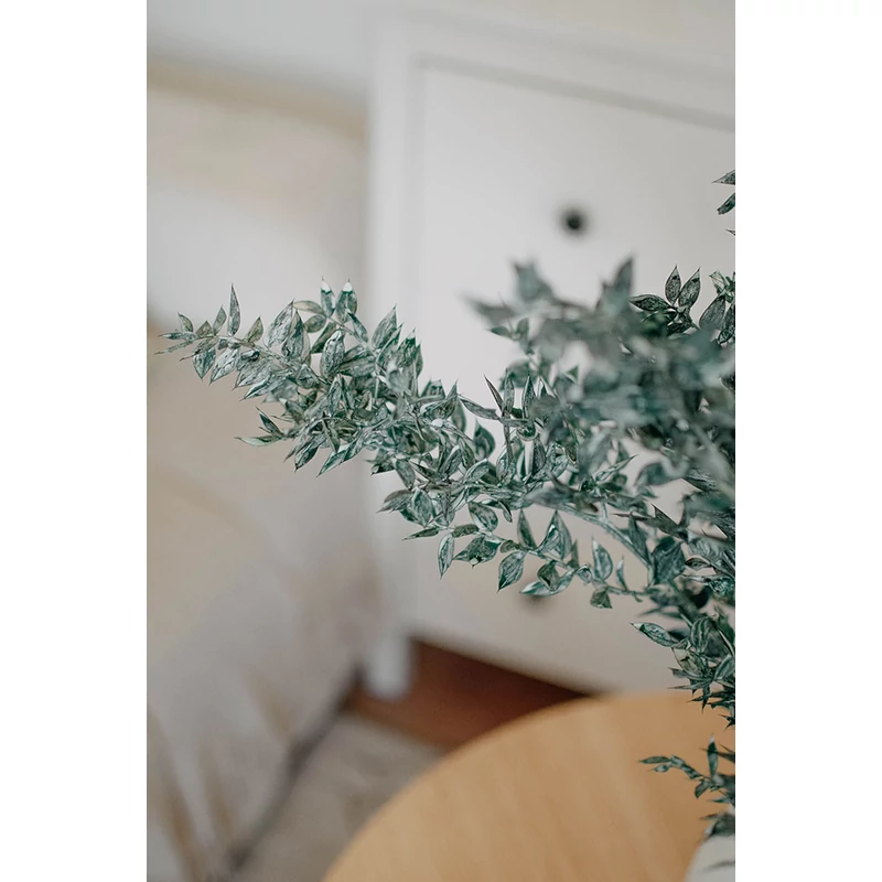 tartósított ruscus szárazvirág