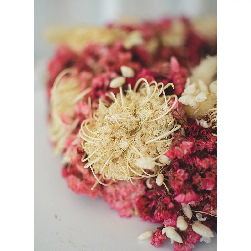 szárazvirág kopogtató